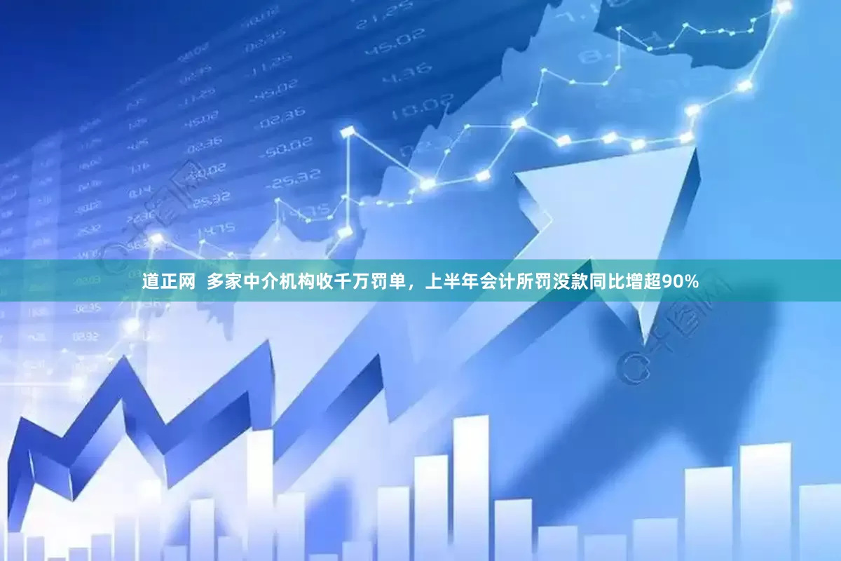 道正网  多家中介机构收千万罚单，上半年会计所罚没款同比增超90%