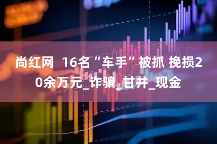 尚红网  16名“车手”被抓 挽损20余万元_诈骗_甘井_现金