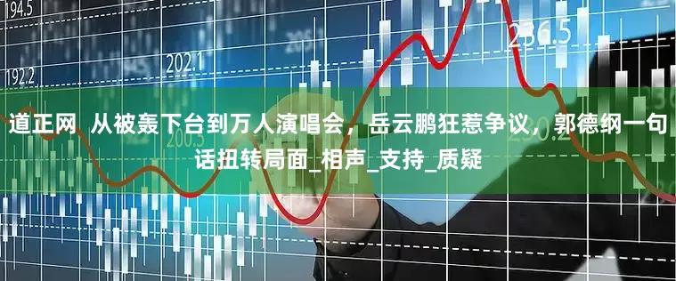 道正网  从被轰下台到万人演唱会，岳云鹏狂惹争议，郭德纲一句话扭转局面_相声_支持_质疑