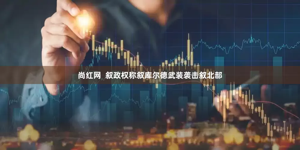 尚红网  叙政权称叙库尔德武装袭击叙北部