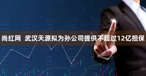 尚红网  武汉天源拟为孙公司提供不超过12亿担保